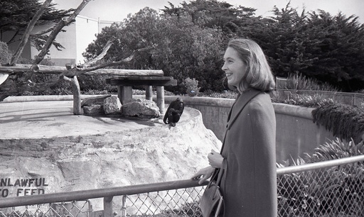 Jane Goodall photographed next to a chimp enclosure on Nov. 20, 1970, in San Francisco. (San Francisco Chronicle via AP) Jane Goodall photographed next to a chimp enclosure on Nov. 20, 1970, in San Francisco. (San Francisco Chronicle via AP)