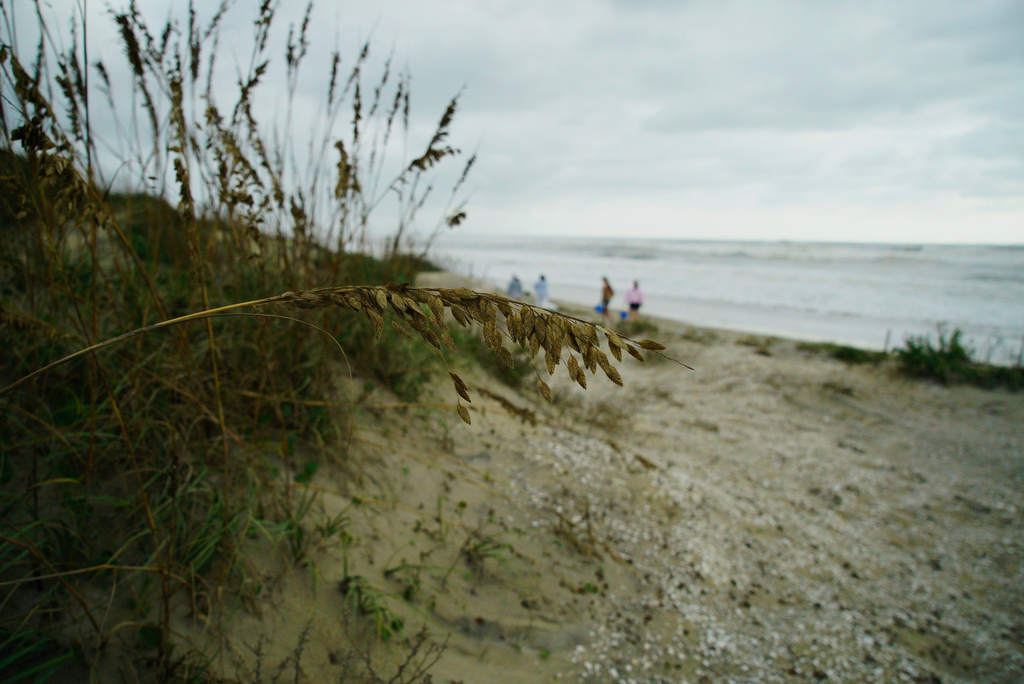 People walk on Coquina Beach near Oregon Inlet, N.C., which cremains closed because of damage from Hurricane Erin on Friday, Aug. 22, 2025. (AP Photo/Allen G. Breed)
