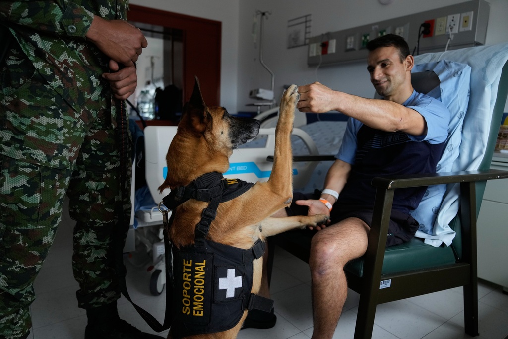 Emotional support dog Kratos salutes wounded Sgt. Jeisson Sanchez at the military hospital in Bogota, Colombia, Thursday, Oct. 2, 2025. (AP Photo/Fernando Vergara)