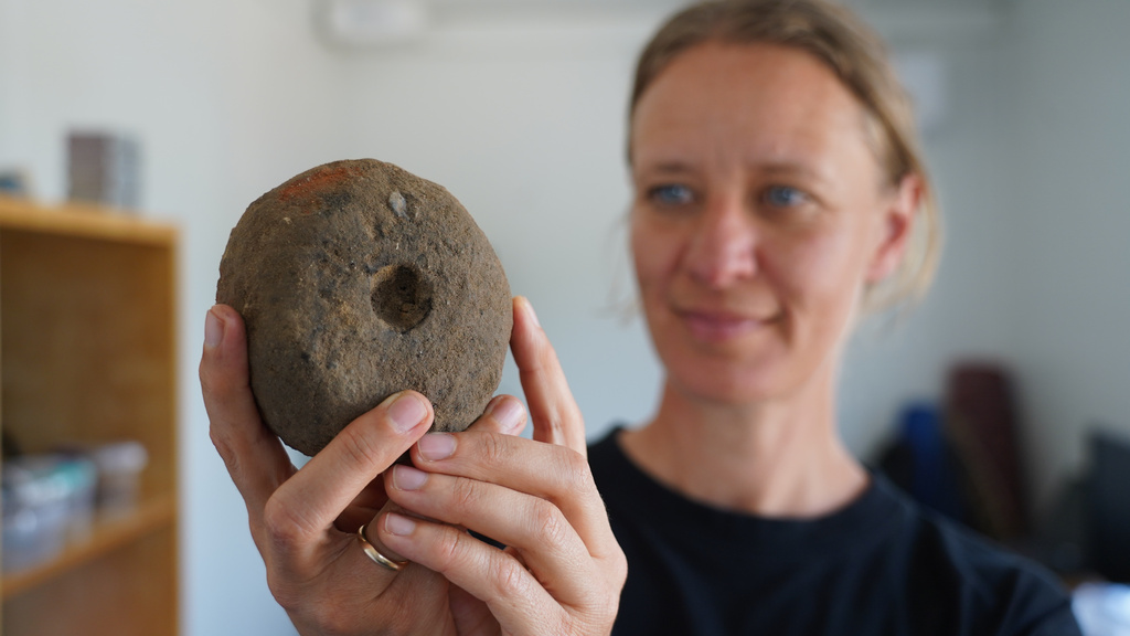 Moesgaard Museum archaeologist Liv Stidsing Reher-Langberg holds a Viking Age weight loom unearthed in Aarhus, Denmark, on June 22, 2026. (AP Photo/James Brooks)