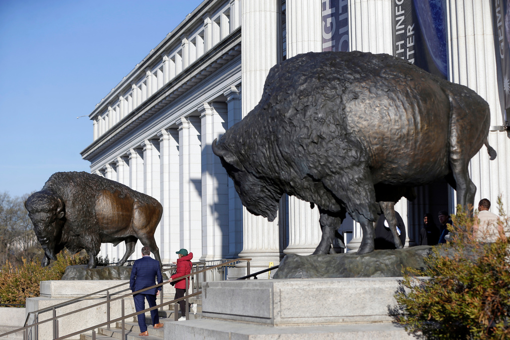 Bison statues cast in bronze are on permanent display outside the Smithsonian's National Museum of Natural History, Friday, March 20, 2026, in Washington. (AP Photo/Rahmat Gul)