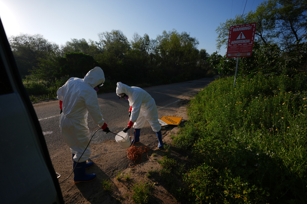 Trent Fry, right, and Leila El Masri clean a bucket after collecting a water sample of the Tijuana River, as part of a research team from the University of California, San Diego, Wednesday, March 11, 2026, in San Diego. (AP Photo/Gregory Bull)