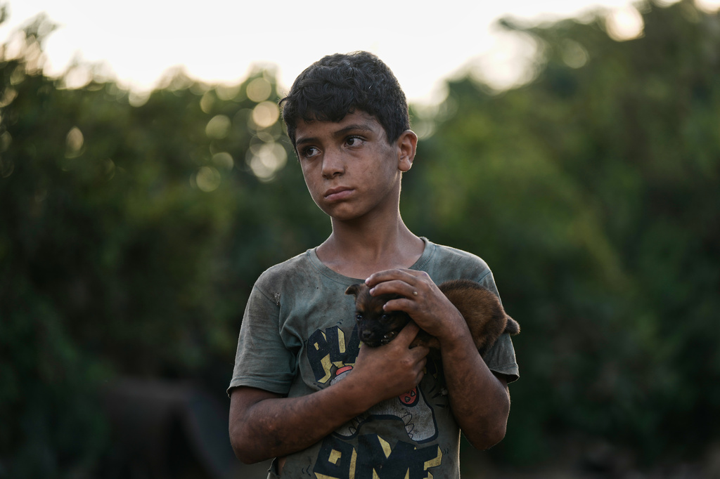 Bashar Hilal, 10, carries a puppy at an animal shelter in the village of Kfaroue, near Nabatiyeh, southern Lebanon, Thursday, July 2, 2026. (AP Photo/Bilal Hussein)