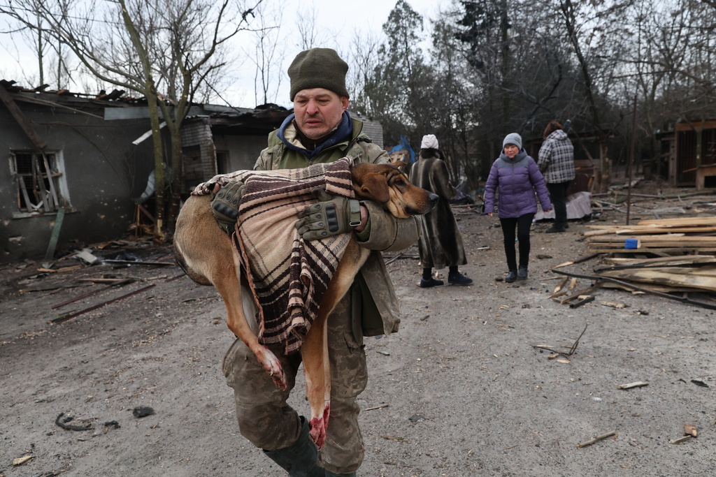 People evacuate wounded dogs after a Russian aerial strike hit a stray dog shelter in Zaporizhzhia, Ukraine, Friday, Feb. 6, 2026. (AP Photo/Kateryna Klochko)