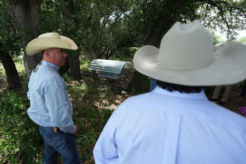 Rangers and land owners view a sterile fly dispersal station placed by the U.S. Department of Agriculture to combat the spread of the New World screwworm fly on grounds of a ranch near La Pryor, Texas, Thursday, June 11, 2026. (AP Photo/Eric Gay)