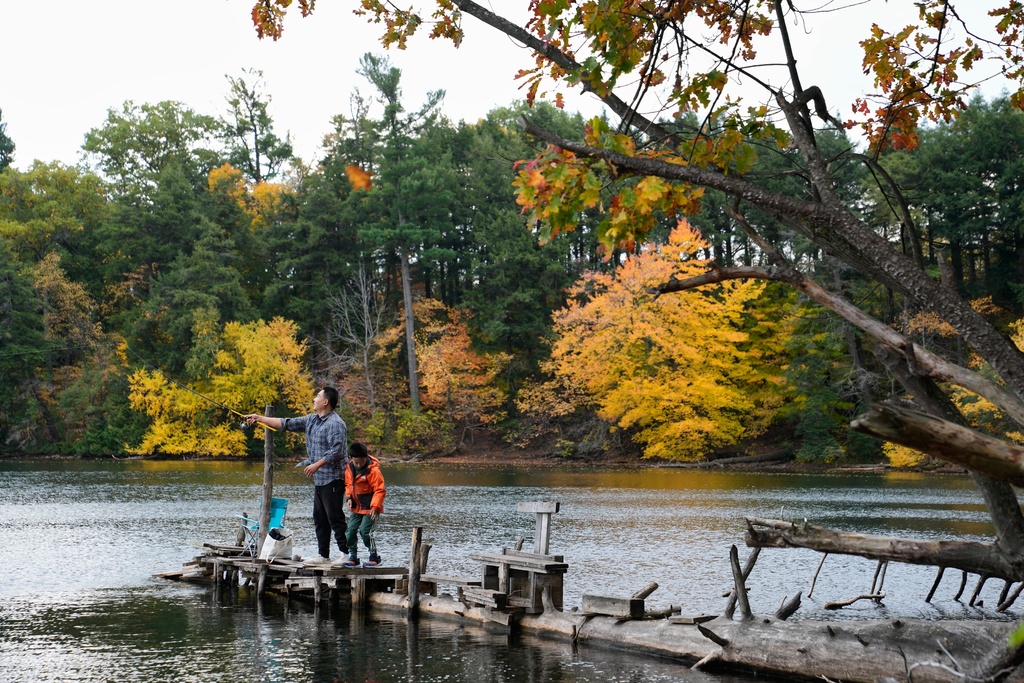 A man casts a line while fishing at Lake Wilcox in Richmond Hill, Ontario, Canada, Monday, Oct. 20, 2025. (AP Photo/Kamran Jebreili)