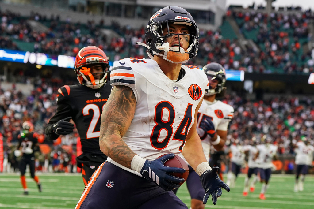 CORRECTS TO SECOND HALF NOT FIRST HALF - Chicago Bears tight end Colston Loveland (84) scores a touchdown during the second half of an NFL football game against the Cincinnati Bengals, Sunday, Nov. 2, 2025, in Cincinnati. (AP Photo/Jeff Dean)