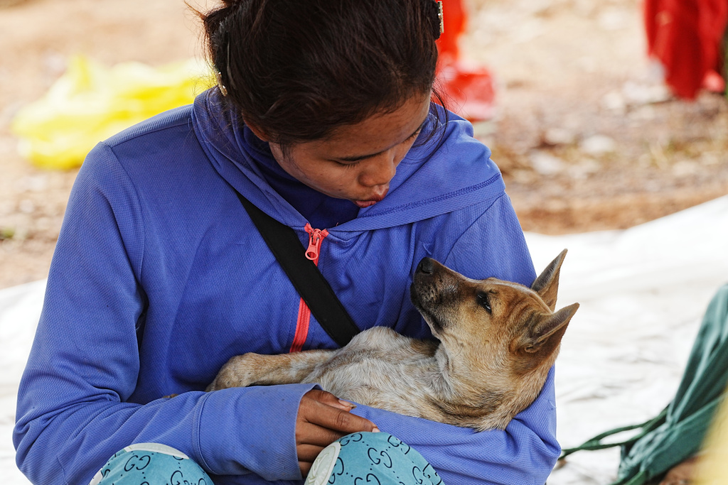 A woman plays with a dog as she takes refuge at Chonkal district in Oddar Meanchey province, Cambodia Thursday, Dec. 11, 2025, after fleeing from home following fighting between Thailand and Cambodia over territorial claims. (AP Photo/Heng Sinith)