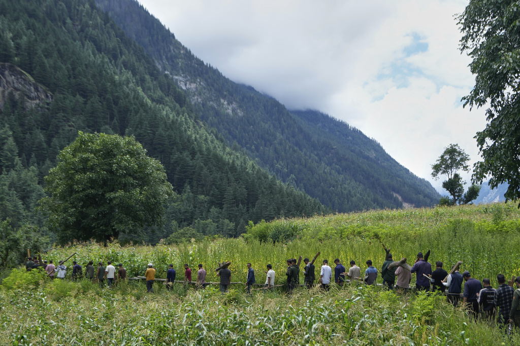 Villagers walk across a field carrying wood for mass cremation of people who died during Thursday's flash flood in Chositi village, Kishtwar district, Indian-controlled Kashmir, Friday, Aug. 15, 2025. (AP Photo/Channi Anand)