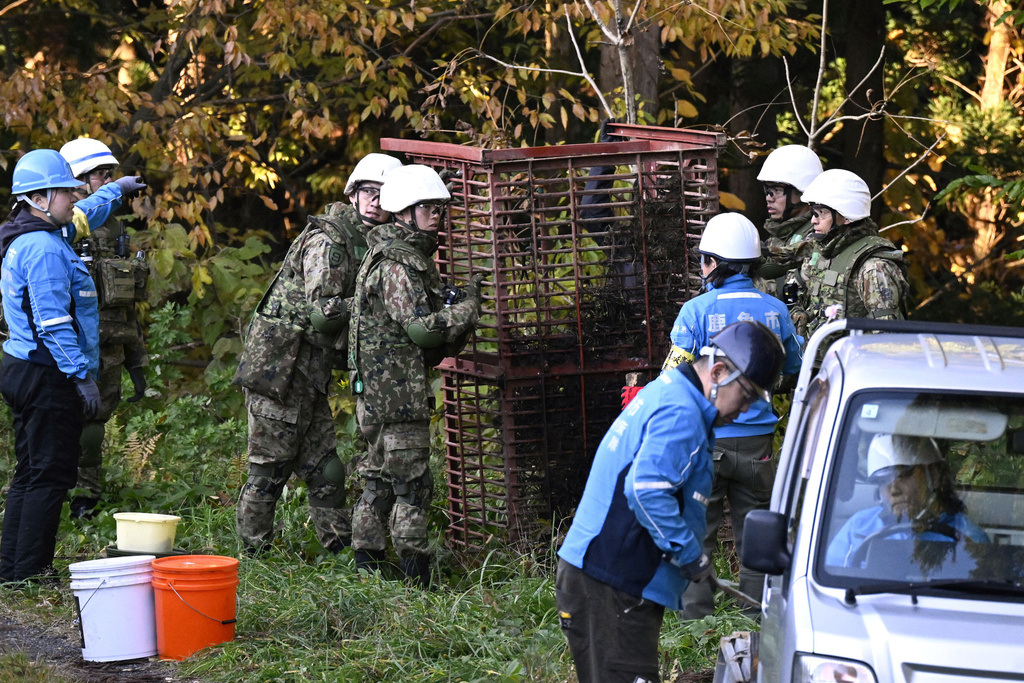 Japan Ground Self-Defense Force members and others set up a box trap to capture bears in Kazuno, Akita prefecture, northern Japan Wednesday, Nov. 5, 2025. (Muneyoshi Someya/Kyodo News via AP)
