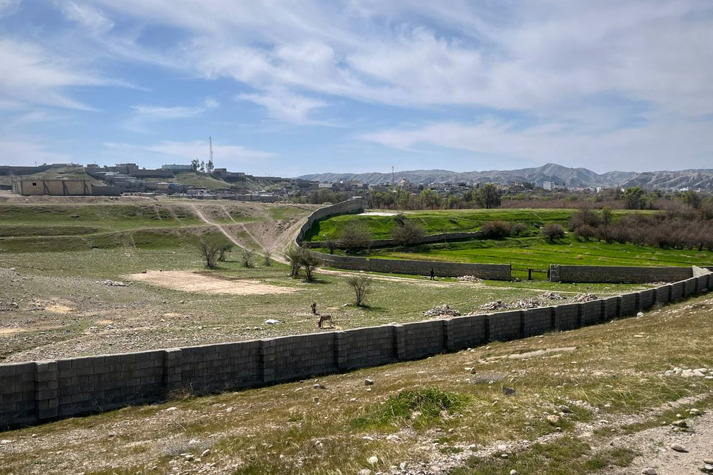 In this photo provided by an Iranian lawyer who did not want to be identified, animals graze outside her farmhouse on March 6, 2026, in Iran's Khuzestan province, where the family is seeking refuge from the U.S-Israeli strikes that fell too close to their city home. (Courtesy photo)