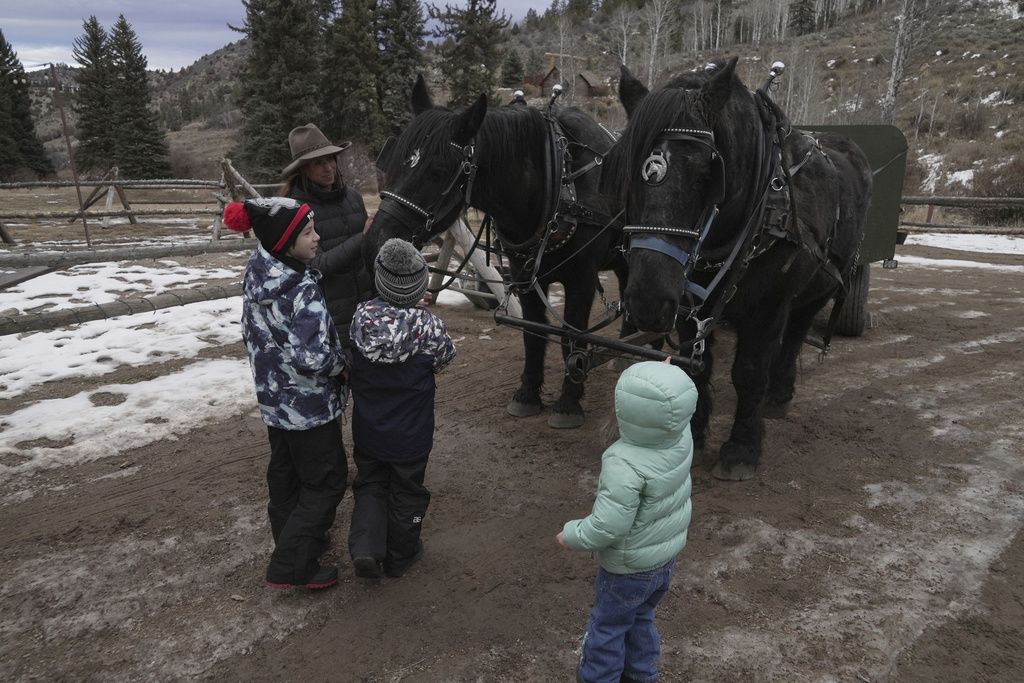 Nicole Godley, back, introduces visitors to her horses Thursday, Dec. 18, 2025, in Edwards, Colo. (AP Photo/Brittany Peterson)
