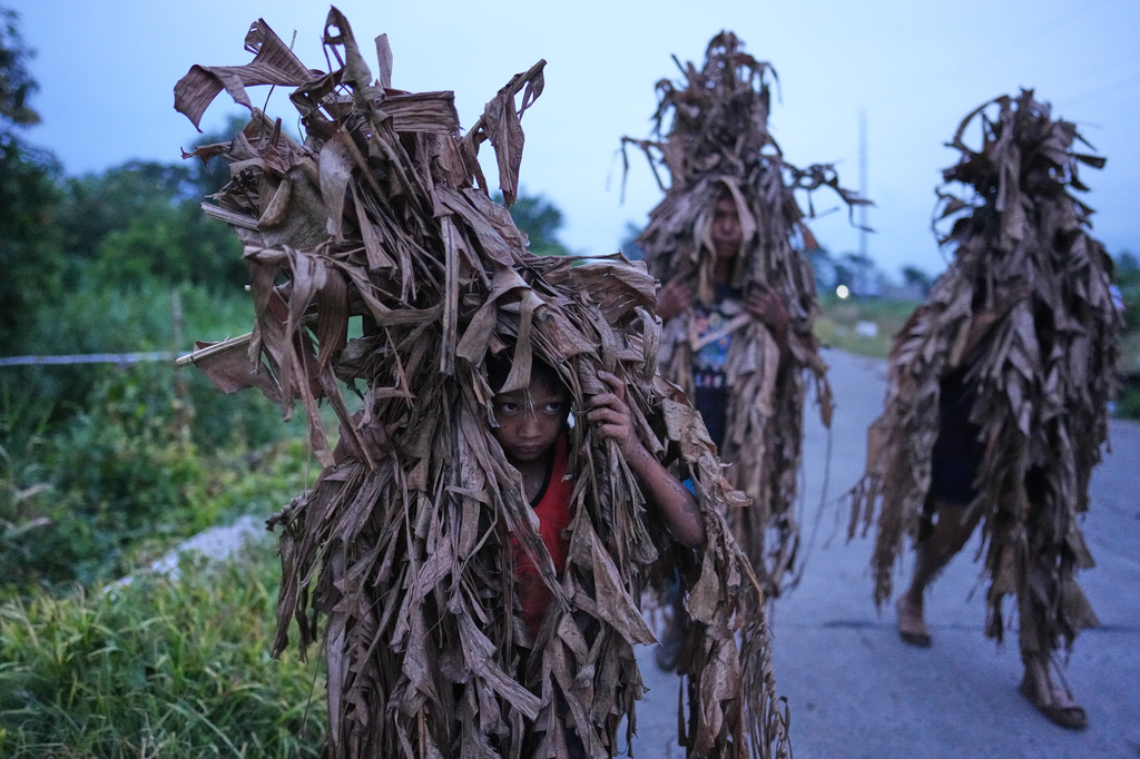 Catholic devotees cover carry dried banana leaves as they participate at the mud people festival on the feast day of Saint John the Baptist at Bibiclat, Nueva Ecija province, northern Philippines on Wednesday, June 24, 2026. (AP Photo/Aaron Favila)