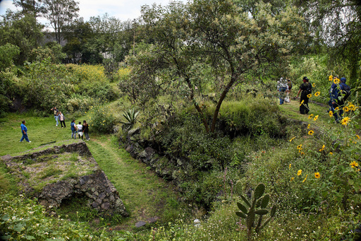 Tourists explore the Cuicuilco Archaeological Zone during a tour organized by the National Institute of Anthropology and History in Mexico City, Sunday, Oct. 5, 2025. (AP Photo/Ginnette Riquelme) Tourists explore the Cuicuilco Archaeological Zone during a tour organized by the National Institute of Anthropology and History in Mexico City, Sunday, Oct. 5, 2025. (AP Photo/Ginnette Riquelme)