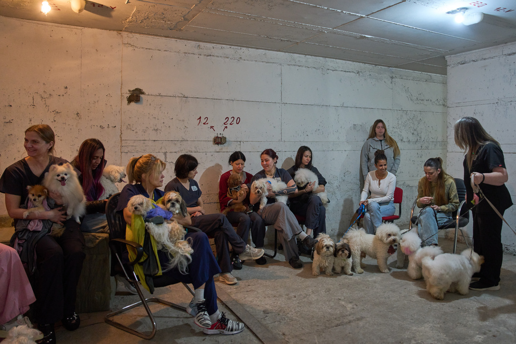 Dog salon workers take cover with the dogs in a bomb shelter as air raid sirens warn of incoming Iranian missile strikes in Ramat Gan, Israel, Wednesday, March 25, 2026. (AP Photo/Oded Balilty)