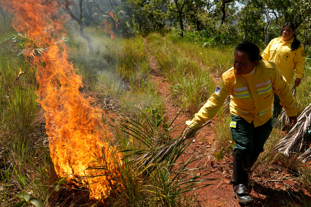 Xerente Indigenous people, part of a fire brigade formed by women, ignite fires as part of a controlled burn with dry palm leaves during a fire prevention operation along Brazil's environmental protection agency, IBAMA, at the Xerente territory, near Tocantinia, Tocantins state, Brazil, Tuesday, May 19, 2026. (AP Photo/Andre Penner)