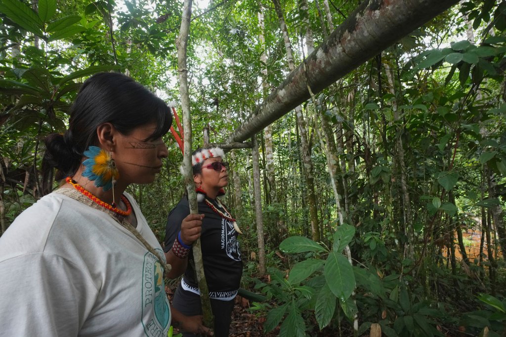 Toa Alvarado, left, and Ene Nenquimo walk near an oil pipeline that cuts through the rainforest in Sucumbios, Ecuador, Friday, March 6, 2026. (AP Photo/Dolores Ochoa)