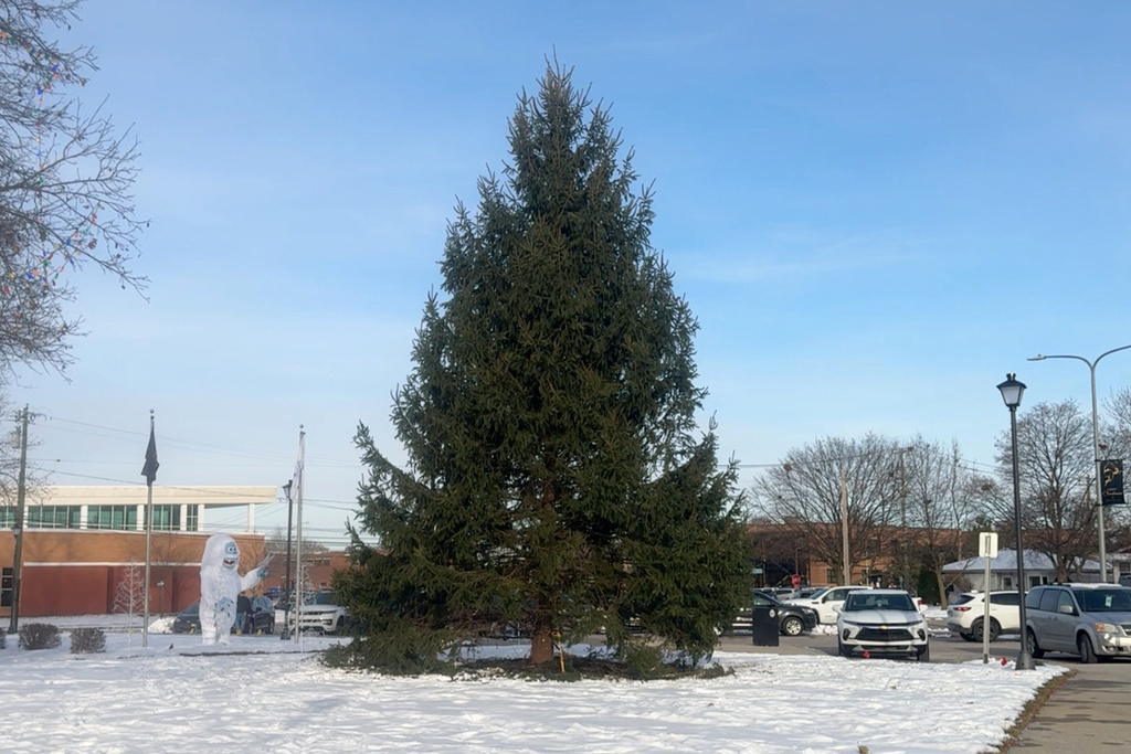 This image taken from video provided by WXYZ-TV shows a Norway spruce tree being transplanted at city hall in Dearborn Heights, Mich, Monday, Dec. 8, 2025. (WXYZ-TV via AP)