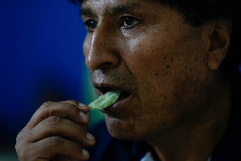 FILE - Bolivia's former President Evo Morales chews coca in Lauca N, Chapare region, Bolivia, Nov. 3, 2024, amid an ongoing political conflict with the government of President Luis Arce. (AP Photo/Juan Karita, File)