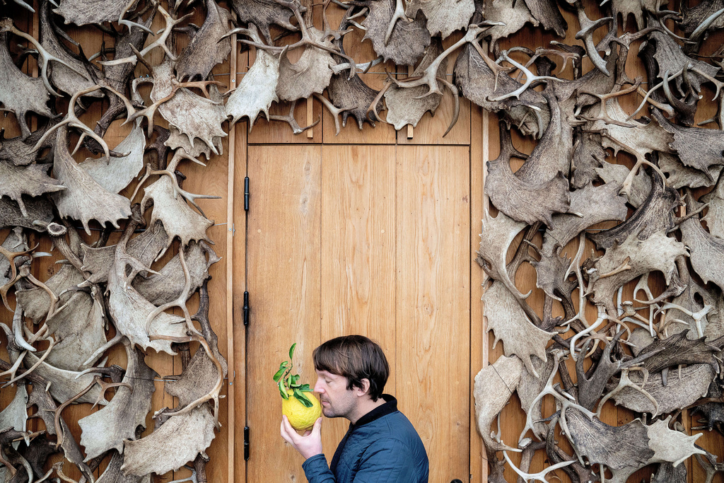 Noma's chef René Redzepi smells a citrus fruit in Copenhagen, Nov. 24, 2024. (Soeren Bidstrup/Ritzau Scanpix via AP)