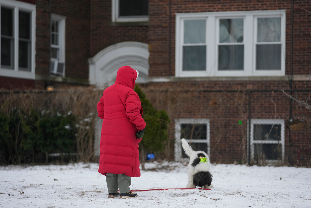 A person stays bundled as they walk their dog on a cold Wednesday, Jan. 21, 2026, in Chicago. (AP Photo/Erin Hooley)