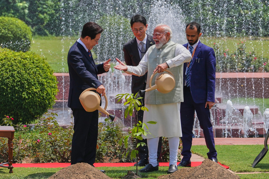 Indian Prime Minister Narendra Modi, second right, and South Korean President Lee Jae Myung, left, water after planting sampling of Ashoka tree in New Delhi, India, Monday, April 20, 2026. (AP Photo/Manish Swarup)