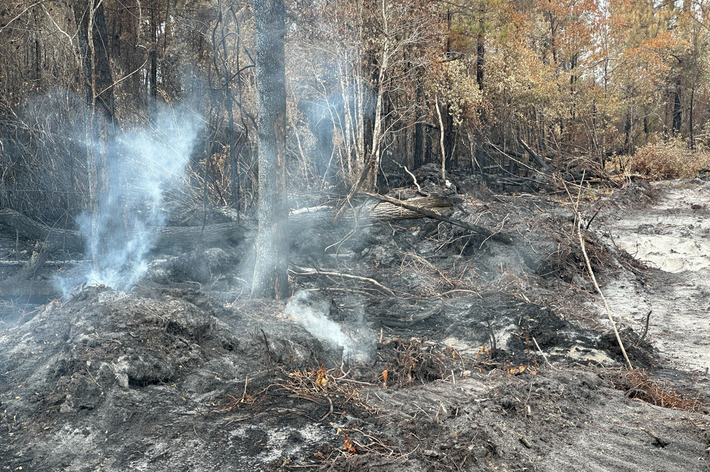 Blackened trees and charred palmetto fronds lined the shoulders of U.S. 82 on Monday, April 27, 2026 in Brantley County, Ga., as smoke poured from the ground in several spots beside the highway. (AP Photo/Russ Bynum)