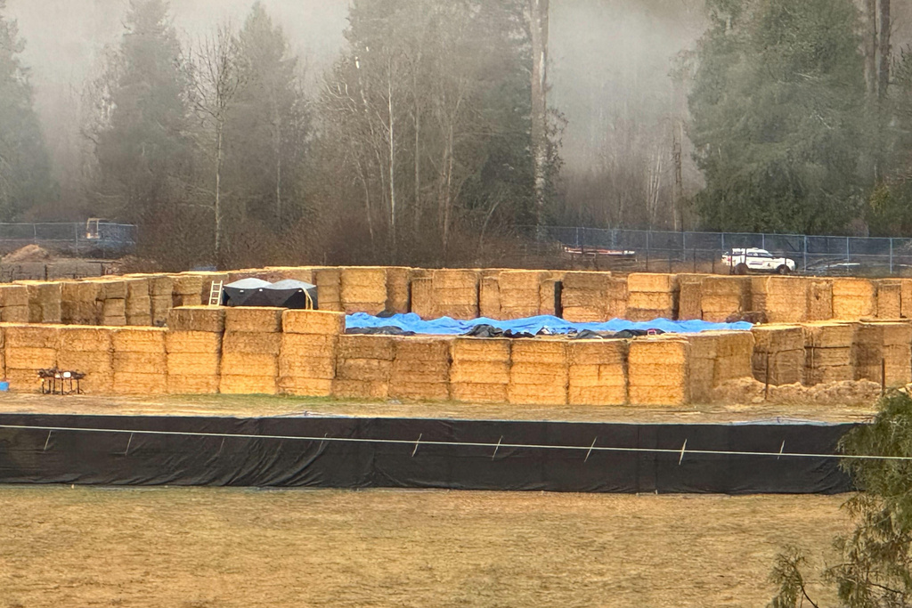 Tarps cover the ground inside a holding pen, which the day before had held live ostriches, at Universal Ostrich Farms near Edgewood, B.C., on Friday, Nov. 7, 2025. (Brenna Owen/The Canadian Press via AP)
