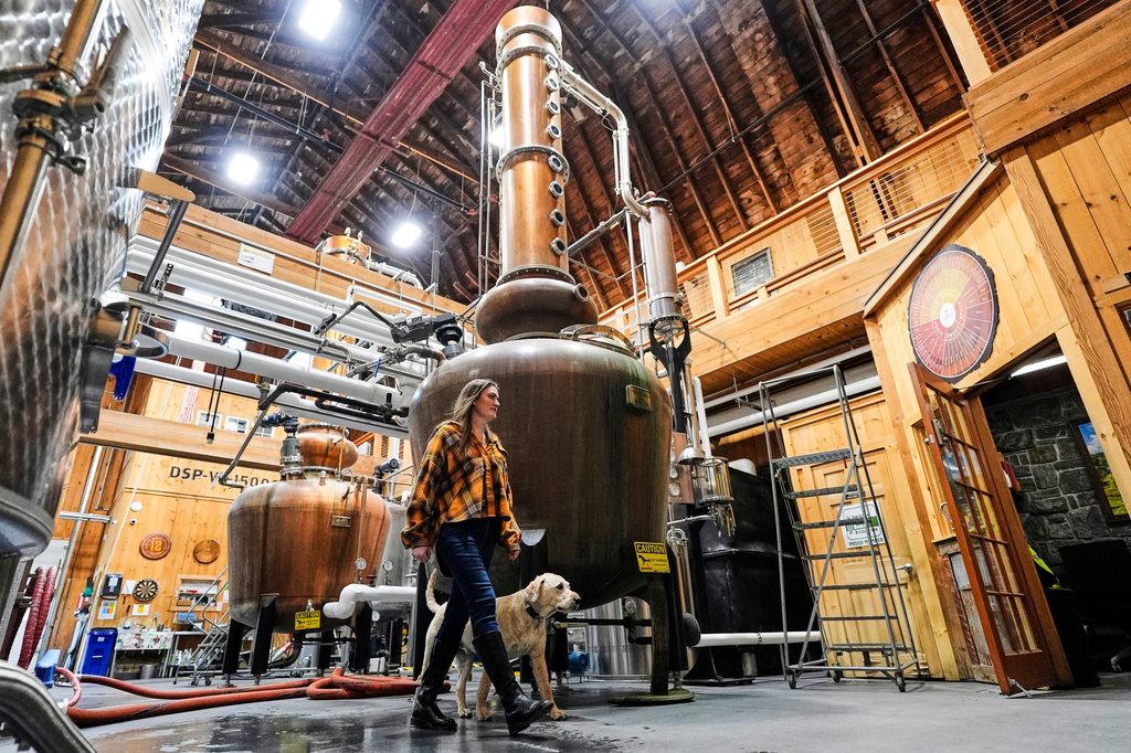 Meghan Ireland and her dog, Murphy, walk by one of the 750-gallon pot and column whiskey stills at the WhistlePig distillery Monday, April 6, 2026, in Shoreham, Vermont. (AP Photo/Robert F. Bukaty)