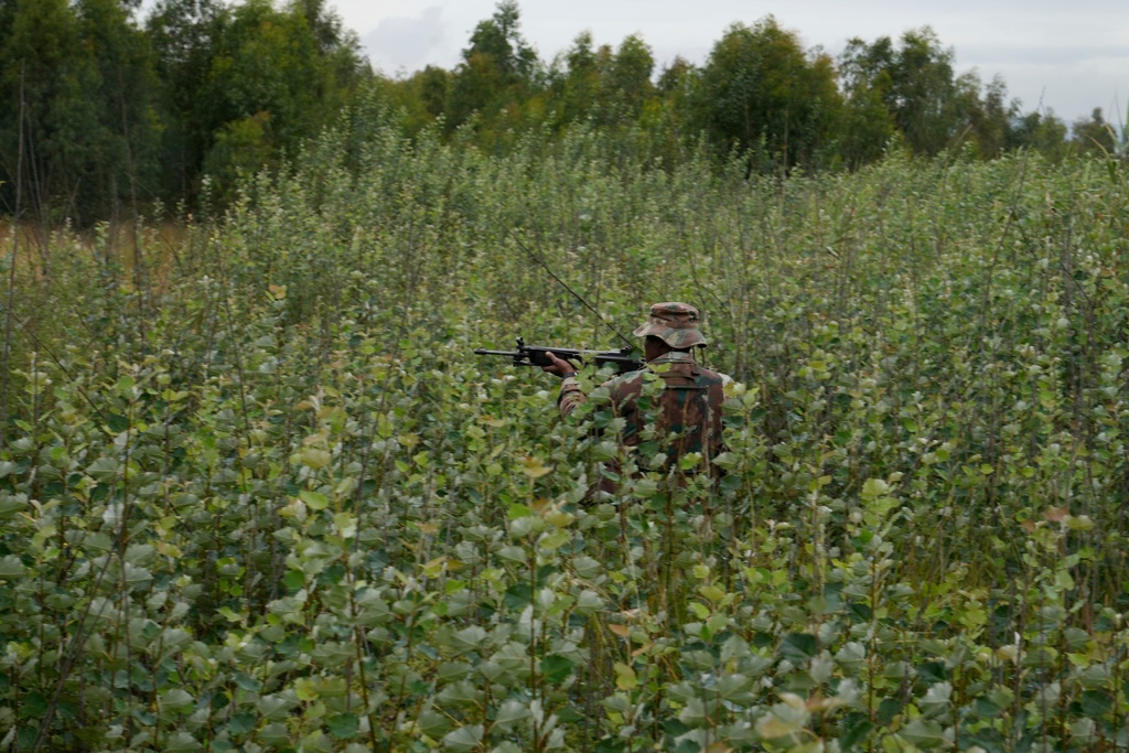 A South African National Defense Force soldier patrols in a dense bush where illegal miners are operating, in Randfontein, in Johannesburg, South Africa, Thursday, March 12, 2026. (AP Photo/Themba Hadebe)