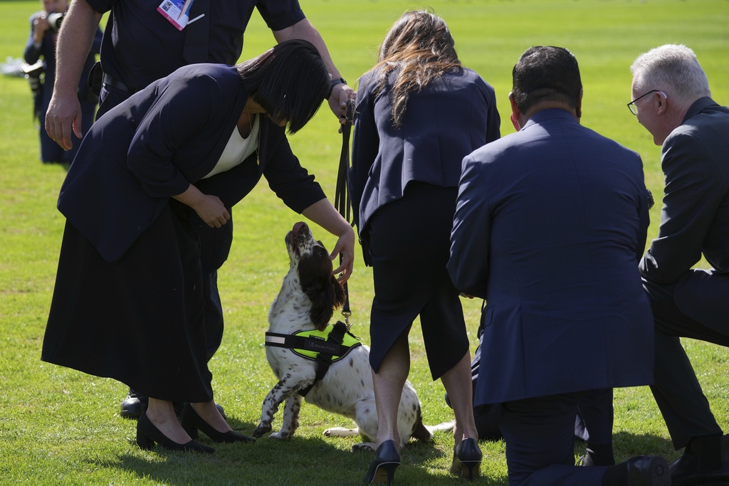 Britain's Home Secretary Shabana Mahmood, left, and United States Homeland Security Secretary Kristi Noem, center, pet a dog during the Five Country Ministerial meeting at the Honourable Artillery Company in London, Monday, Sept. 8, 2025. (AP Photo/Kin Cheung)