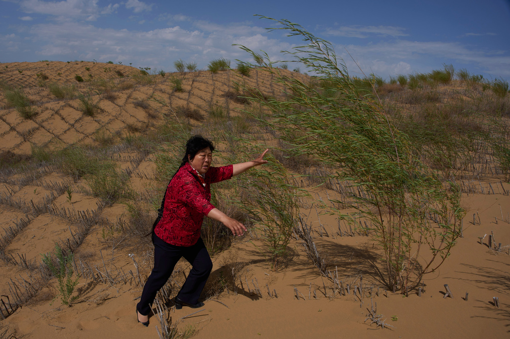 Desert control worker Yin Yuzhen walks along sand dunes covered by grass checkerboard that's part of desertification control efforts at the Engebei Ecological Area near Ordos in northern China's Inner Mongolia province on Friday, June 12, 2026. (AP Photo/Ng Han Guan)