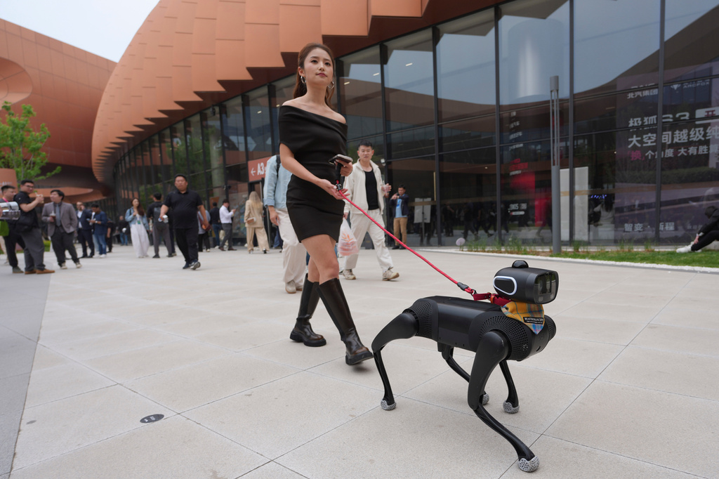 A woman walks her robotic dog during Auto China 2026 in Beijing, Friday, April 24, 2026. (AP Photo/Ng Han Guan)