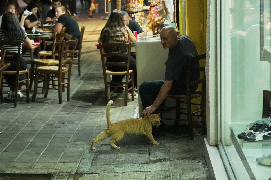 A man caresses a cat outside a restaurant in capital Nicosia, Cyprus, Sept. 26, 2025. (AP Photo/Petros Karadjias)