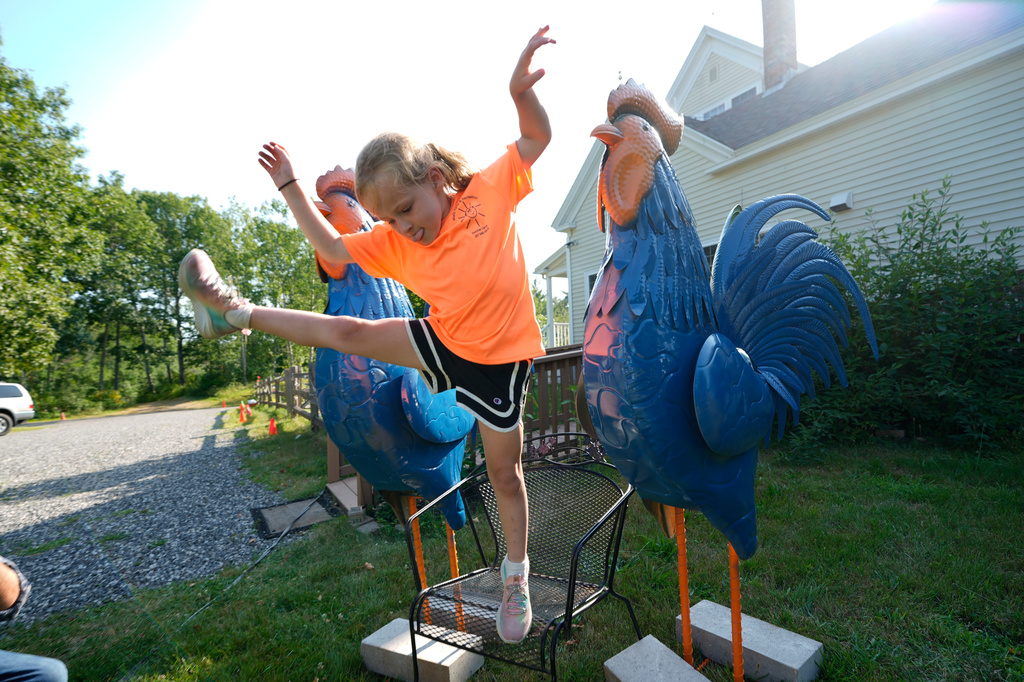 Pyper Leblanc plays by two tin roosters displayed at the Hilton Winn Farm in Ogunquit, Maine, Wednesday, July 22, 2026. (AP Photo/Robert F. Bukaty)