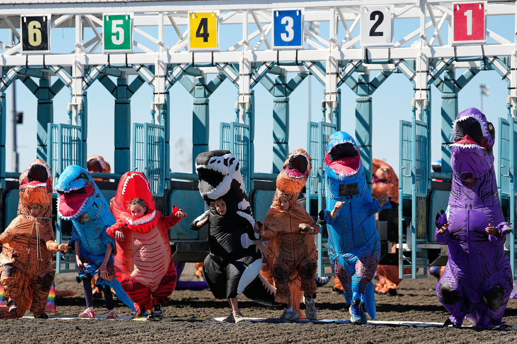 Racers take off from the starting gates during a kids' race during the T-Rex World Championship Races at Emerald Downs, Sunday, July 12, 2026, in Auburn, Wash. (AP Photo/Lindsey Wasson)