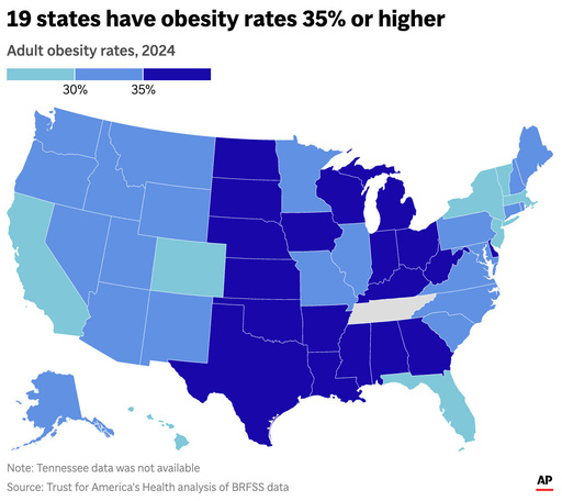 The map above shows the obese portion of the population in each state. (AP Digital Embed) The map above shows the obese portion of the population in each state. (AP Digital Embed)