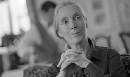 Jane Goodall, author of "Through A Window," is pictured at the Four Seasons Clift Hotel in San Francisco on Oct. 11, 1990. (Tom Levy/San Francisco Chronicle via AP) Jane Goodall, author of "Through A Window," is pictured at the Four Seasons Clift Hotel in San Francisco on Oct. 11, 1990. (Tom Levy/San Francisco Chronicle via AP)
