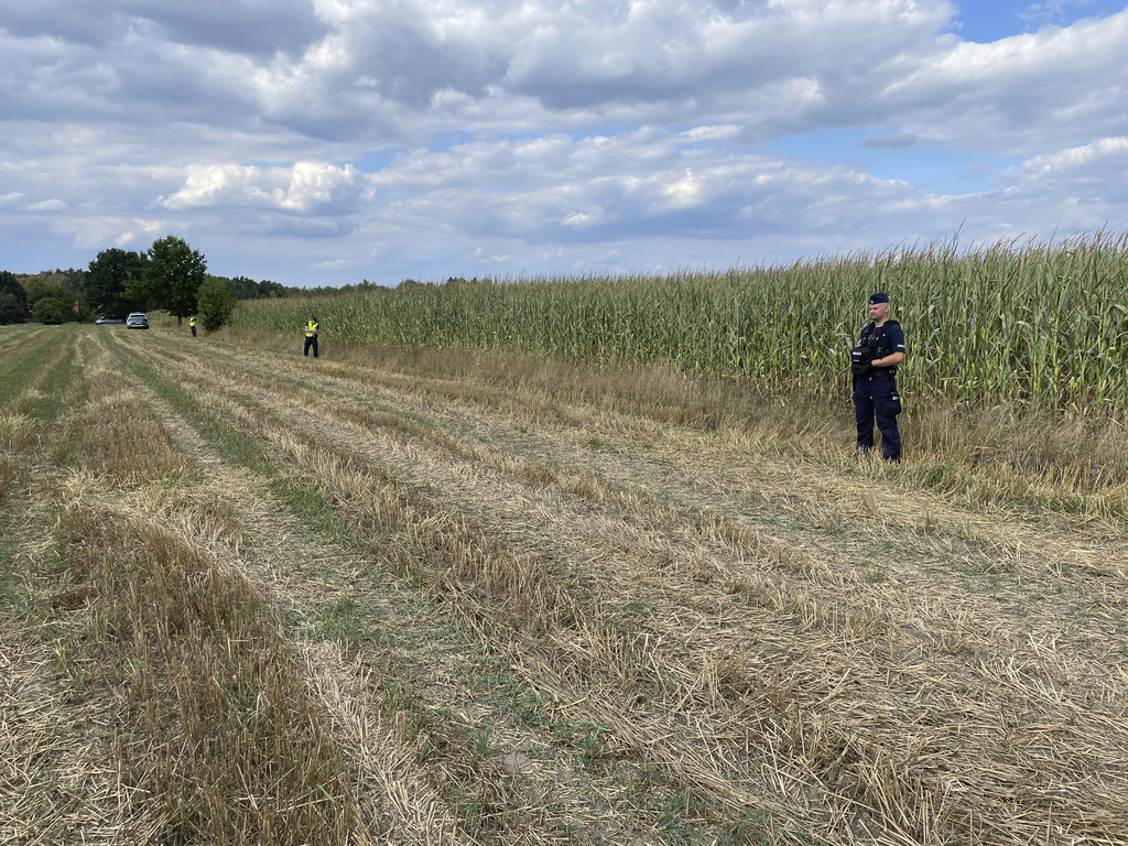 Police secure the area of a cornfield where an unidentified flying object has crashed and exploded in the country's east in Osiny, Poland, Wednesday, Aug. 20, 2025. (AP Photo)
