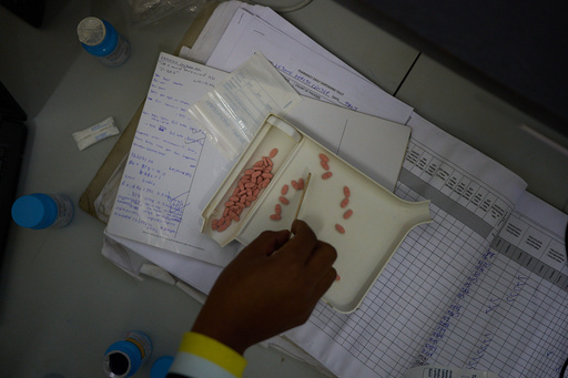 FILE - A pharmacist counts HIV medicine inside a clinic in Ha Lejone, Lesotho, July 16, 2025. (AP Photo/Bram Janssen, File) FILE - A pharmacist counts HIV medicine inside a clinic in Ha Lejone, Lesotho, July 16, 2025. (AP Photo/Bram Janssen, File)