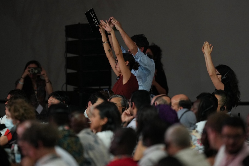 ADDS NAME - Delegates from Colombia, including Daniela Duran Gonzalez, head of international affairs for the Colombian Ministry of Environment and Sustainable Development, front, react during a plenary session at the COP30 U.N. Climate Summit, Saturday, Nov. 22, 2025, in Belem, Brazil. (AP Photo/Andre Penner)