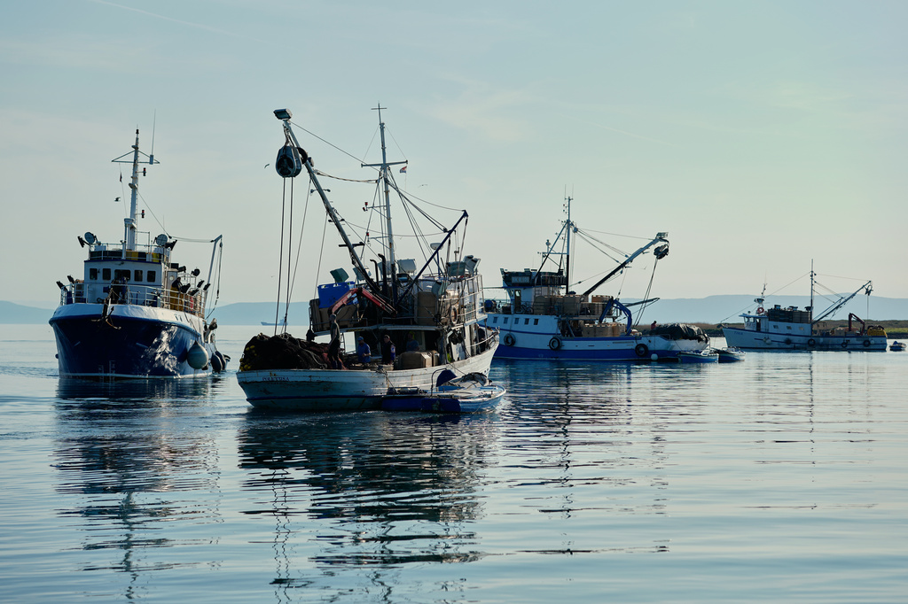 Fishing boats return to the port of Liznjan, Croatia, Tuesday, April 7, 2026. (AP Photo/Darko Bandic)