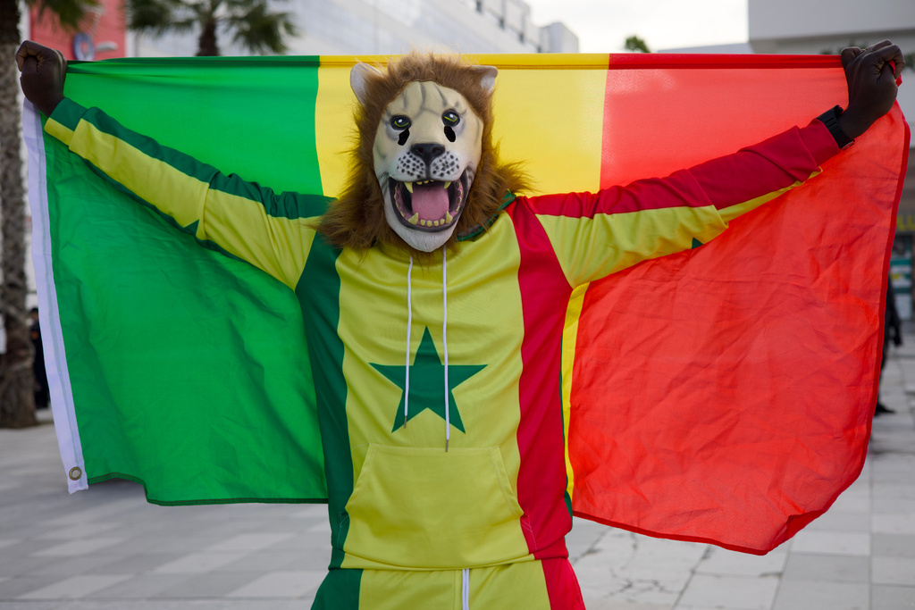 Senegal fan Pape, dressed as a lion, holds the Senegal flag at the Africa Cup of Nations in Tangier, Morocco, Dec. 23, 2025. (AP Photo/Ciaran Fahey)