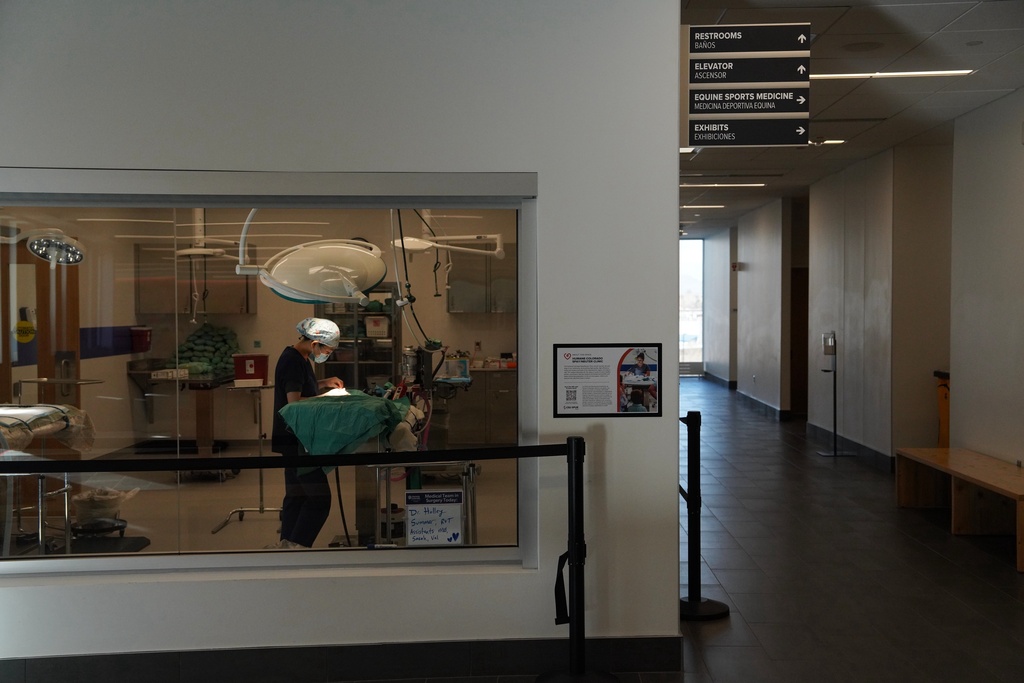 A veterinarian works on an animal in a building that is heated and cooled by a wastewater heat recovery system Tuesday, Dec. 2, 2025, in Denver. (AP Photo/Brittany Peterson)