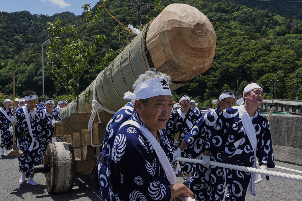 People pull a sacred timber felled in the previous day's Misomahajimesai, an early ceremony of the Shikinen Sengu ritual to rebuild main structures of the Ise Jingu shrine for Shinto deities, during a procession in local celebrations in Agematsu, central Japan, Wednesday, June 4, 2025. (AP Photo/Hiro Komae)