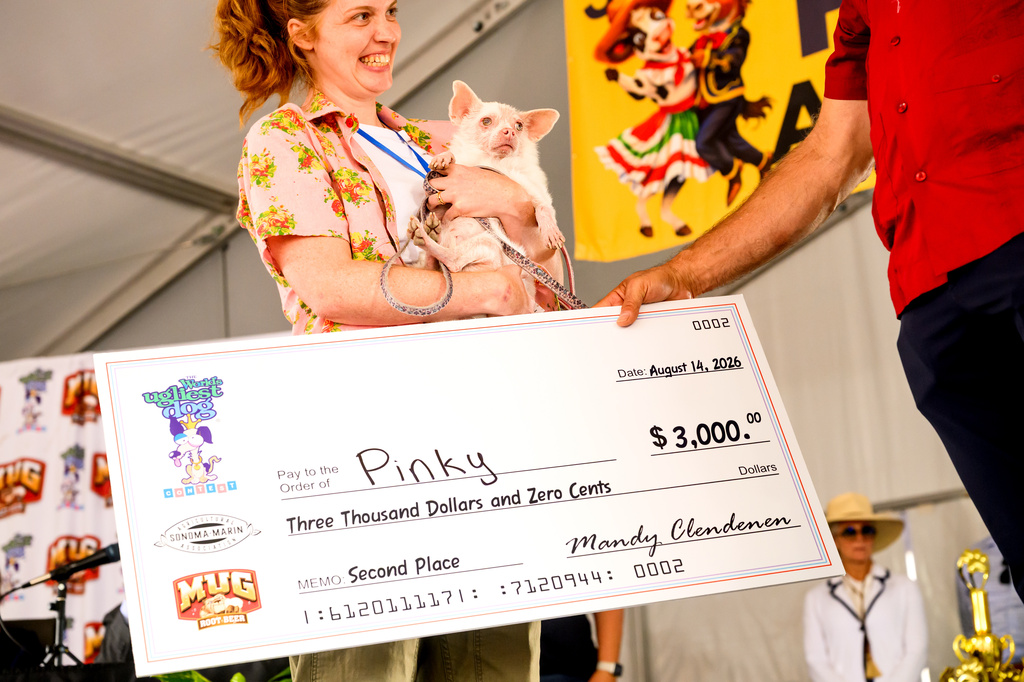 Pinky, an albino Pomeranian-Chihuahua mix, celebrates winning second place in the World's Ugliest Dog Contest at the Sonoma County Fair in Santa Rosa, Calif., on Friday, Aug. 14, 2026. (AP Photo/Noah Berger)
