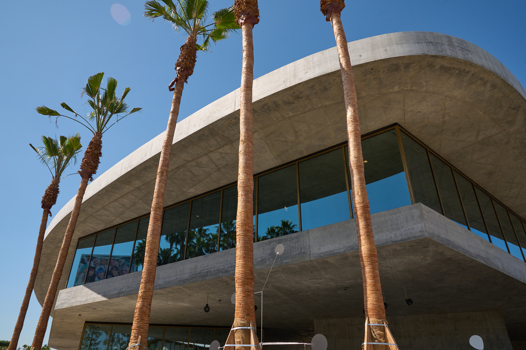 Palm trees line the David Geffen Galleries, designed by architect Peter Zumthor, at the Los Angeles County Museum Wednesday, April 15, 2026. (AP Photo/Damian Dovarganes)