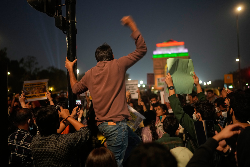 Citizens protest against what they called the government's lack of action to combat air pollution in the capital city New Delhi, India, Sunday, Nov. 9, 2025. (AP Photo/Manish Swarup)
