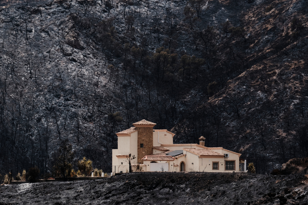 A view of a burnt area affected by wildfires in Bedar, near Almeria, Spain, Saturday, July 11, 2026. (AP Photo/Gregorio Marrero)
