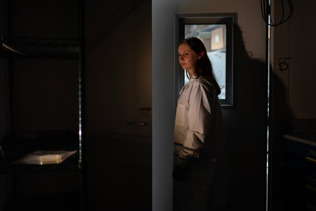 Researcher Abigail McGahan poses for a portrait in the warm room of a lab before she leaves E. coli bacteria incubating in a petri dish overnight for antibody production at Johns Hopkins University in Baltimore, Md., Tuesday, May 13, 2025. Most treatments for autoimmune diseases broadly suppress the immune system. McGahan is part of a team developing new options to target just rogue immune cells, not healthy ones. "I really enjoy the protein engineering aspect as in finding new tools to harness the immune system and this, I think, is, like, really close to having an impact in patients' lives." (AP Photo/David Goldman)